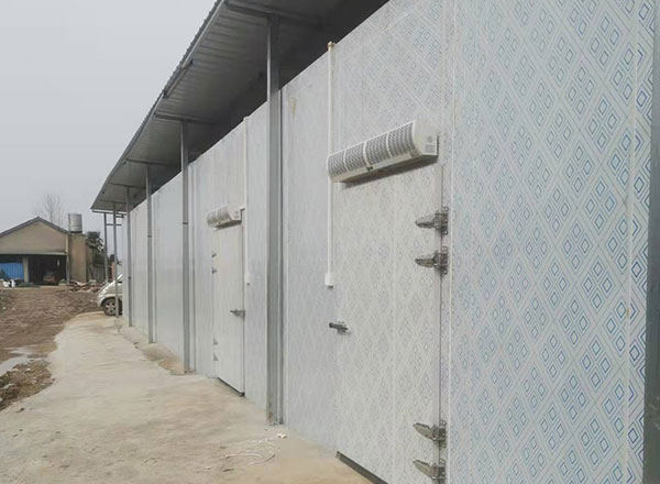 漢川甲魚養(yǎng)殖基地蘇總低溫冷藏及速凍庫(kù)